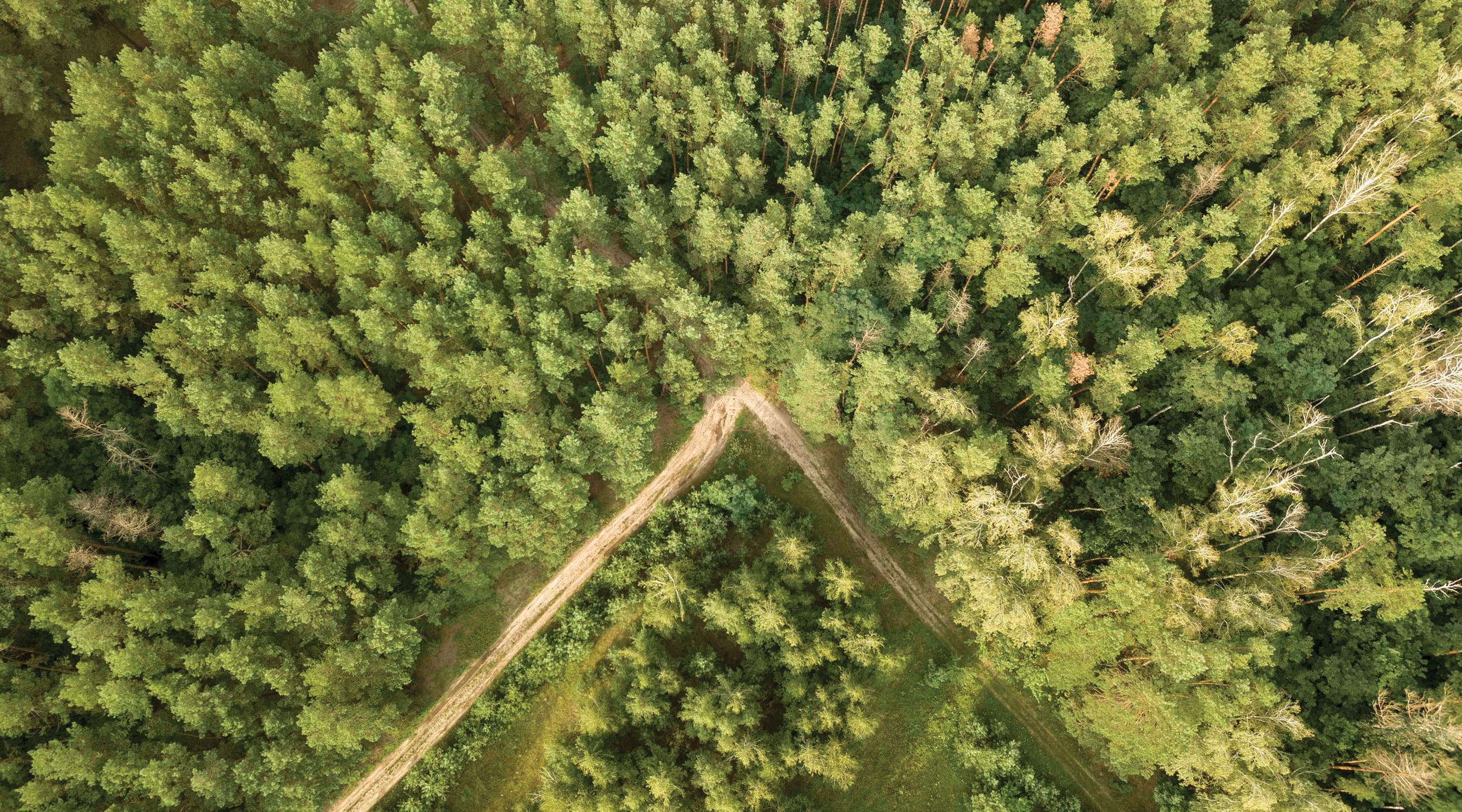 Land Management